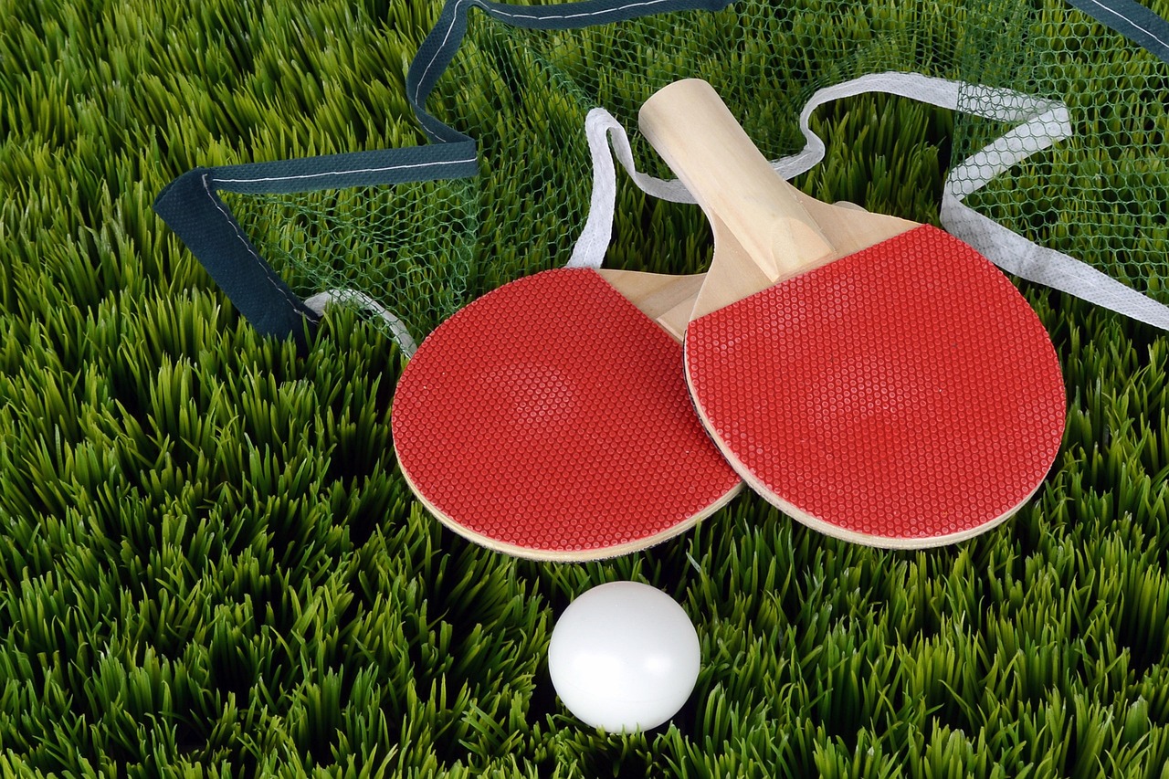 table tennis, ping-pong, bat, table tennis racket, sports, to play, game, paddle, sport, web, lawn, red, white, green, wood, competition, game device, coupon, table tennis, table tennis, table tennis, table tennis, table tennis